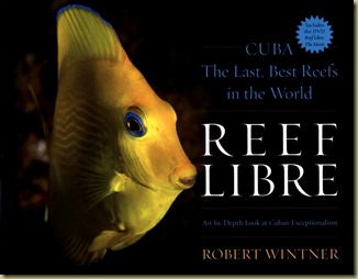 Reef Libre by Robert Wintner - Thoughts in Progress