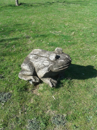 Wooden Frog