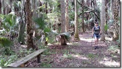 Benches along the trail