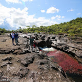 Coliseo -  Caño Cristales - La  Macarena, Colômbia