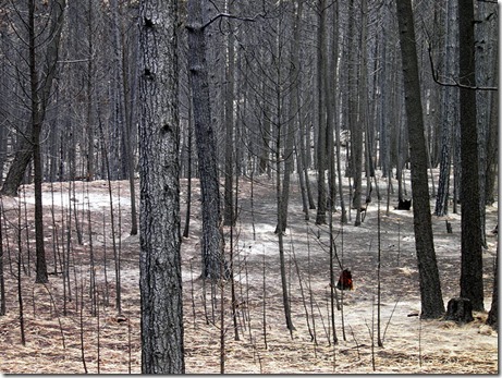 Rock-Creek-Fire-2015-9