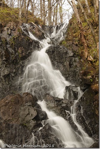 17-Waterfall-Wood-of-Cree