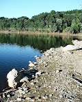 Lake Needwood, Rock Creek Park, Rockville, Maryland.