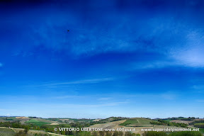 14 aorile 2016 Castagnole Monferrato - fotografia di Vittorio Ubertone