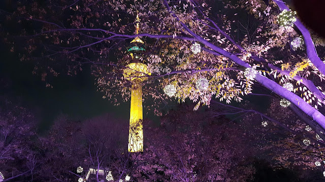 20151128_185713 E World Amusement Park: Pretty Pictures in Daegu South Korea