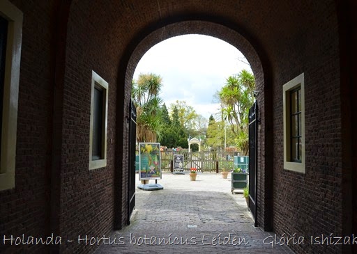 Glória Ishizaka - Hortus Botanicus Leiden - 3