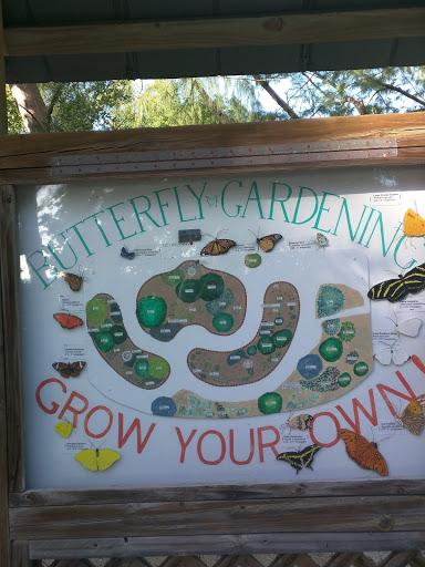 Butterfly Garden