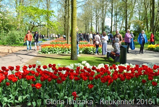 1 .Glória Ishizaka - Keukenhof 2015 - 9