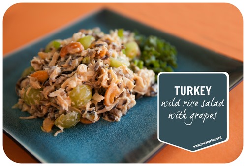 turkey wild rice salad recipe