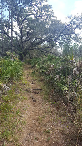 Non-Profit Organization «Nature Conservancy», reviews and photos, 2700 Scrub Jay Trail, Poinciana, FL 34759, USA