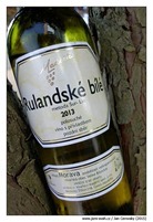 maderic-rulandske-bile-2013