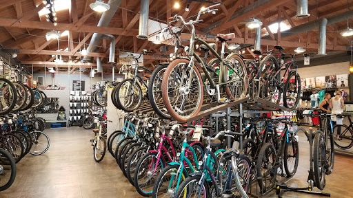 Bicycle Store «Jax Bicycle Center», reviews and photos, 410 Main St, Huntington Beach, CA 92648, USA