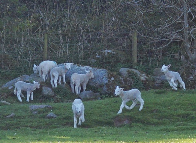 Walking around Buttermere lake