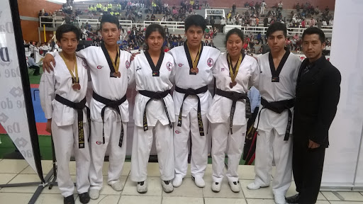 Centro Deportivo Vil Vil, De Juárez 22, San Pedro Cholula, 52746 San Pedro Cholula, Méx., México, Escuela deportiva | EDOMEX