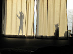 Making shadow puppets 2/21