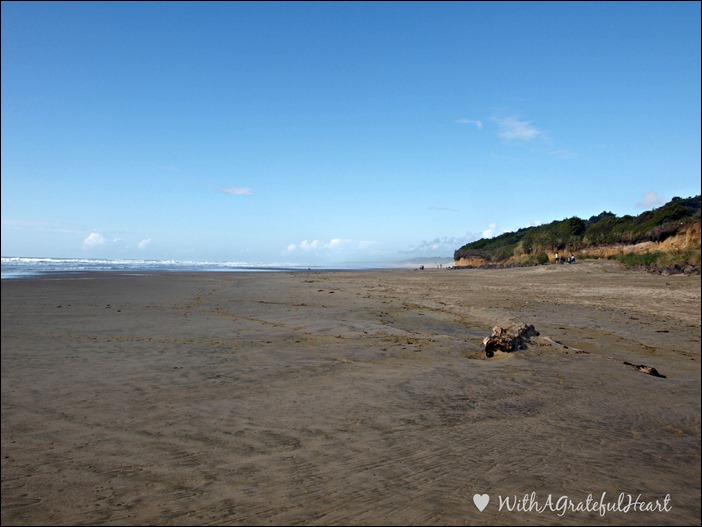 Tillicum Beach - North