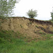 DSC01389.JPG