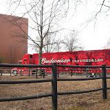 The Anheuser-Busch truck in St Louis 03192011