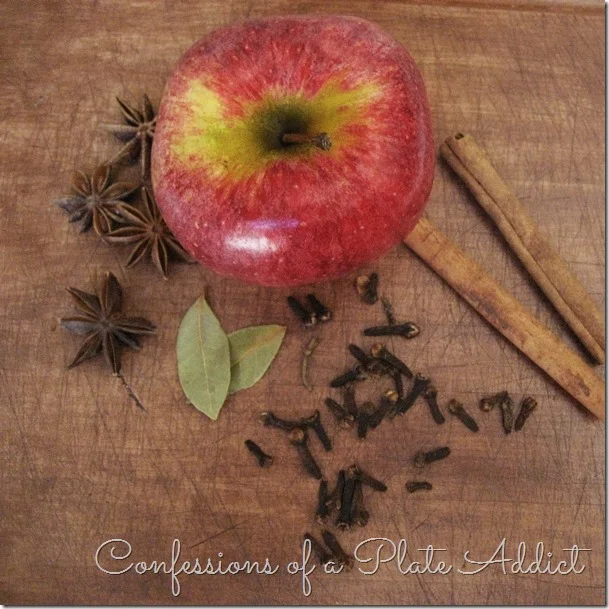 CONFESSIONS OF A PLATE ADDICT Spiced Apple Simmering Potpourri