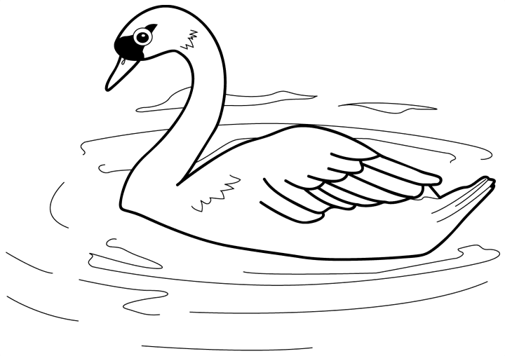 Diego's Animal Coloring Book Nick Jr - coloring pages of animals to print
