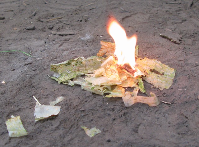 Fenland Bushcraft survival skills workshop Norfolk