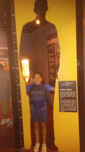 Museum «Guinness World Records Museum», reviews and photos, 329 Alamo Plaza, San Antonio, TX 78205, USA