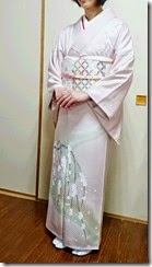 さくら色の綺麗な訪問着 (1) さくら色の綺麗な訪問着 (1)