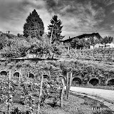 1 maggio 2014 Vesime. Loazzolo e Canelli - fotografia di Vittorio Ubertone