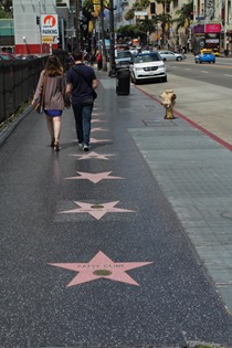 Hollywood Walk of Fame, Los Angeles