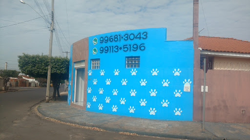 PetShop, R. Victório Alfredo Meranca, 466 - Recanto Verde, Birigui - SP, 16201-195, Brasil, Pet_Shop, estado Sao Paulo