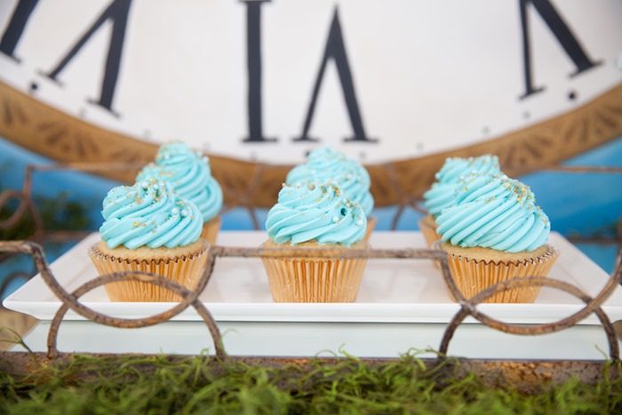 Cinderella Themed Royal Garden Party - Las Vegas www.trishphoto.com  146