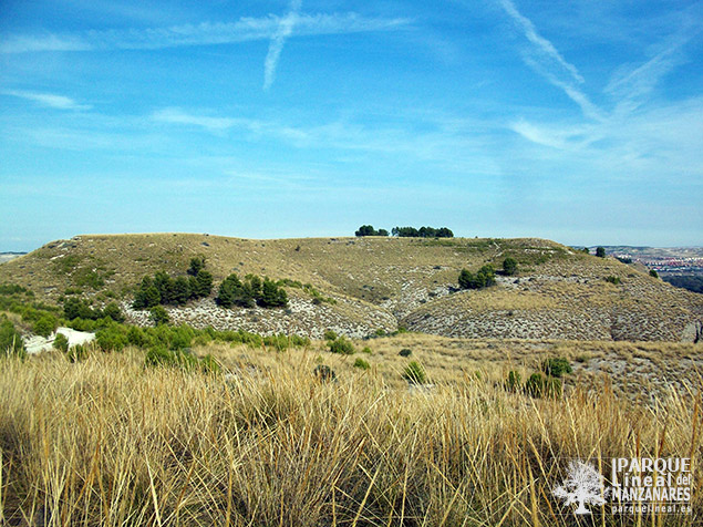 El Barrerón - Loma Artillera