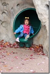 IMG_7101 IMG_7101