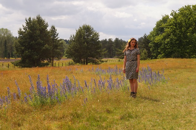 dark dress in grass field