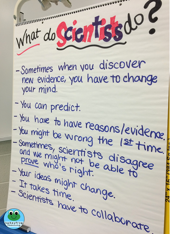 [What-do-scientists-do--anchor-chart-.png]