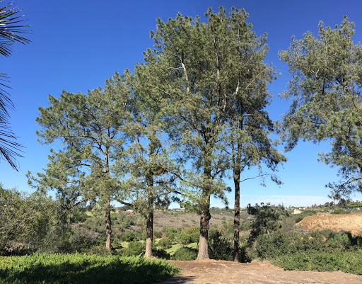 Park «Golden Hill Park», reviews and photos, 2590-2596 Golden Hill Dr, San Diego, CA 92102, USA