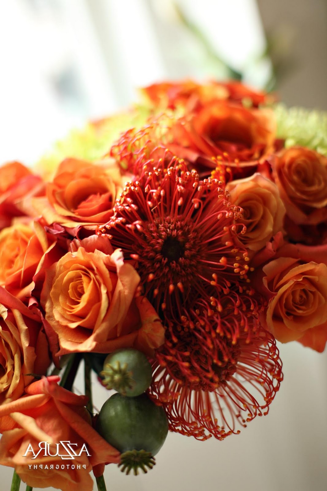 orange flowers bella signature