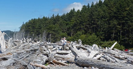 Rialto Beach