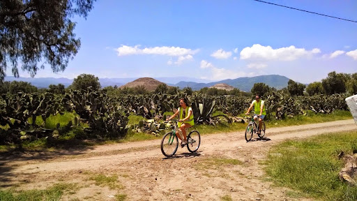 Teotihuacan en bici, Av. San Fracisco 12, San Martin, 55820 San Francisco Mazapa, Méx., México, Actividades recreativas | EDOMEX