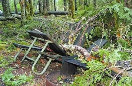 Storm Damage from 2007, Heart of the Hills Campground