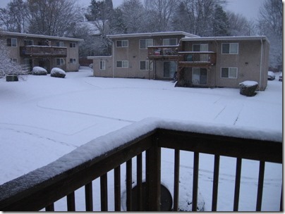 IMG_4741 Snow in Milwaukie, Oregon on December 14, 2008