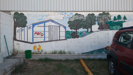 Pinturas de Alto Rendimiento, San Bernardo 12, San Lorenzo Almecatla, 72730 Puebla, Pue., México, Pintura | PUE