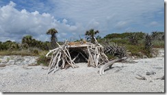 Driftwood shelter