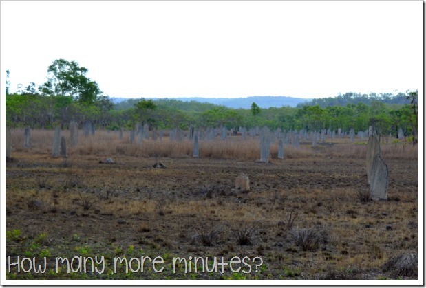 Magnetic Termite Mounds | How Many More Minutes?