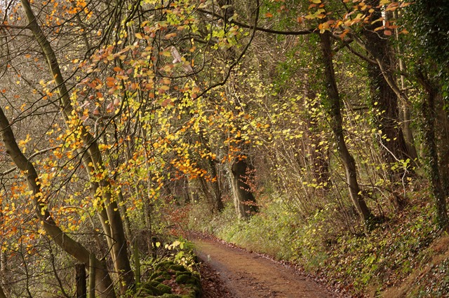 Weekend break in a cosy cottage in Autumn