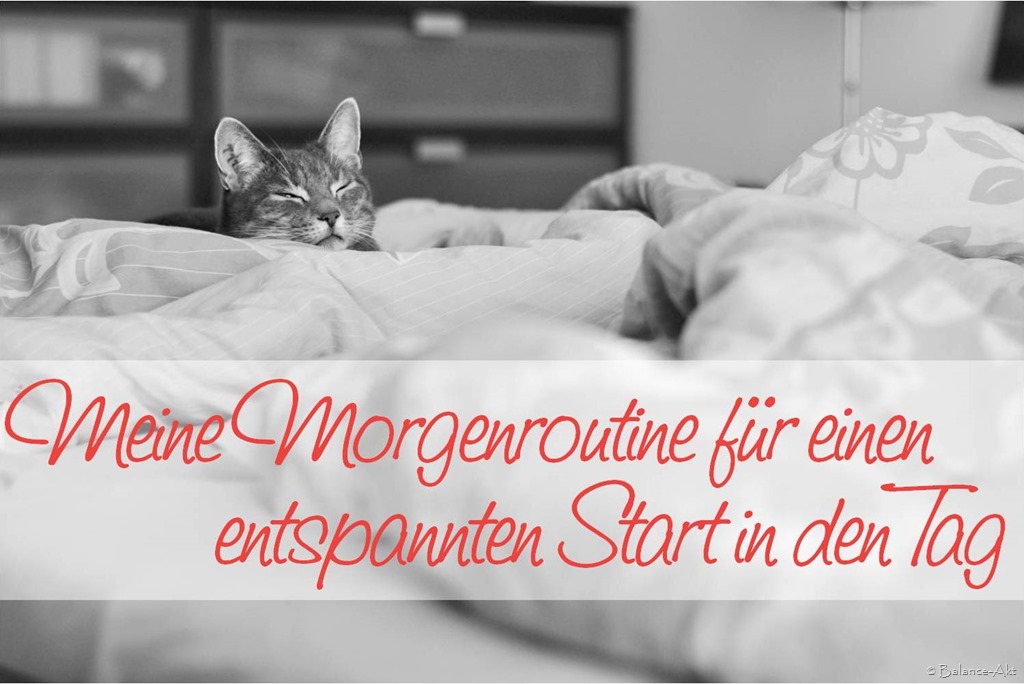 [Morgenroutine%255B2%255D.jpg]