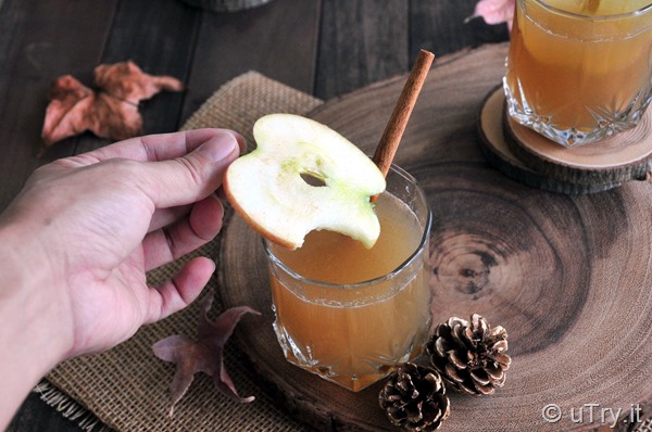 Come check out how to make this Apple Harvest Cocktail.  An easy and delightful cocktail that's perfect for Fall.  http://uTry.it