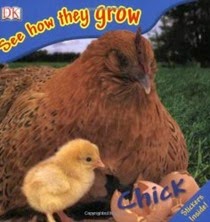 See How They Grow Chicks