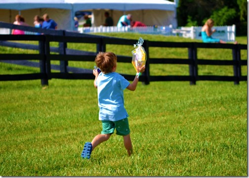 High Hope Steeplechase 2015 | Photo The Lisa Porter Collection