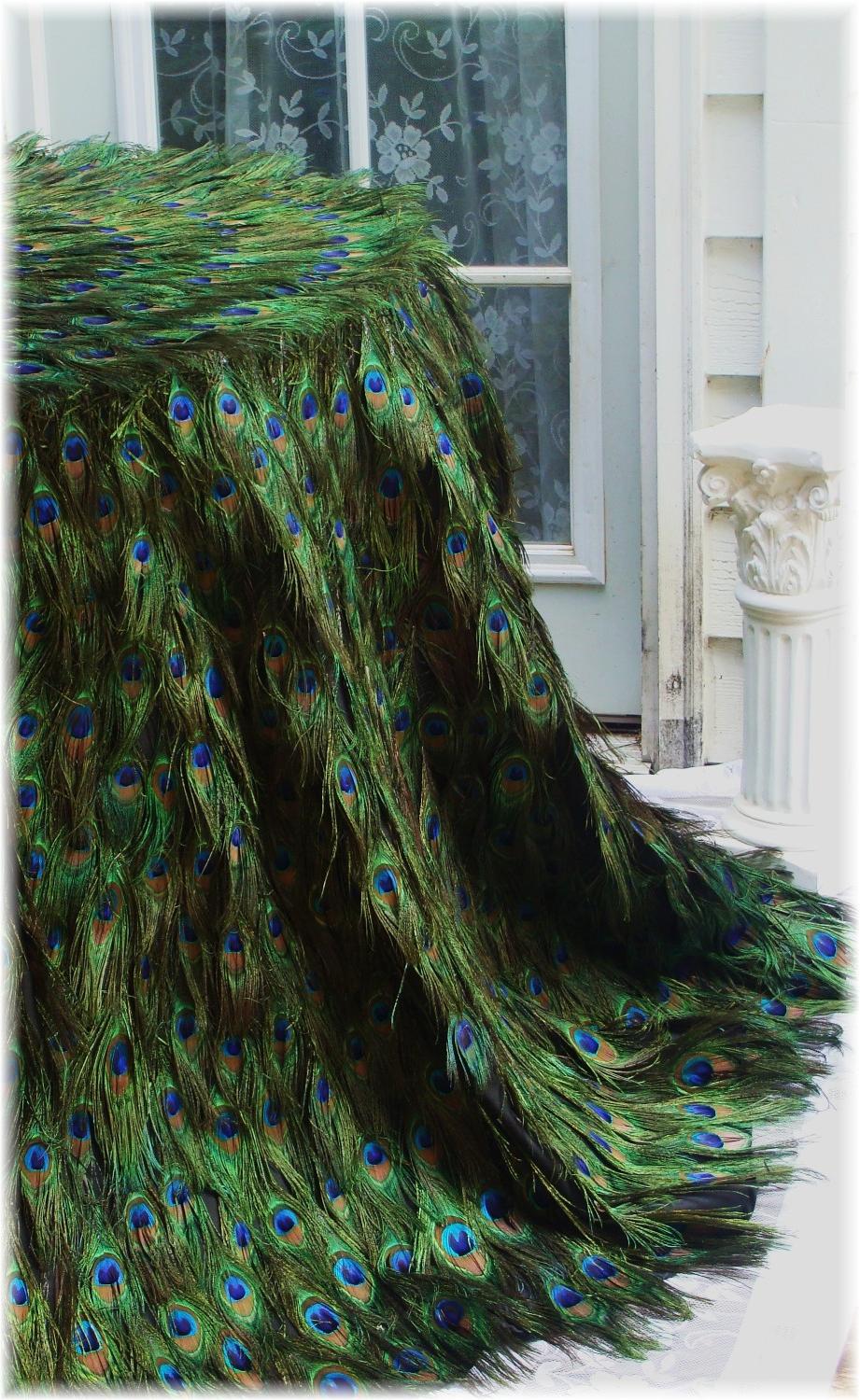 peacock feather colored